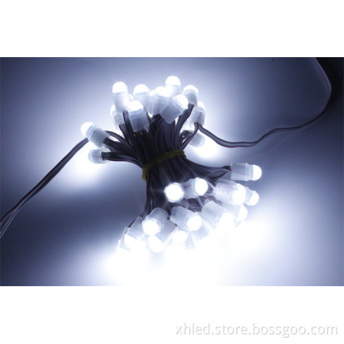 High Quality 50pcs/String 0.2W Waterproof IP67 Cold White SMD5050 LED Christmas Lights